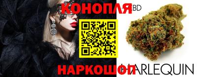 ALPHA PVP Кандалакша