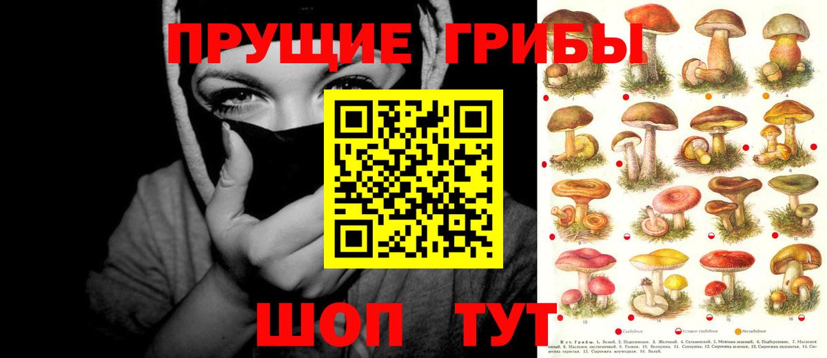 Галлюциногенные грибы GOLDEN TEACHER Людиново