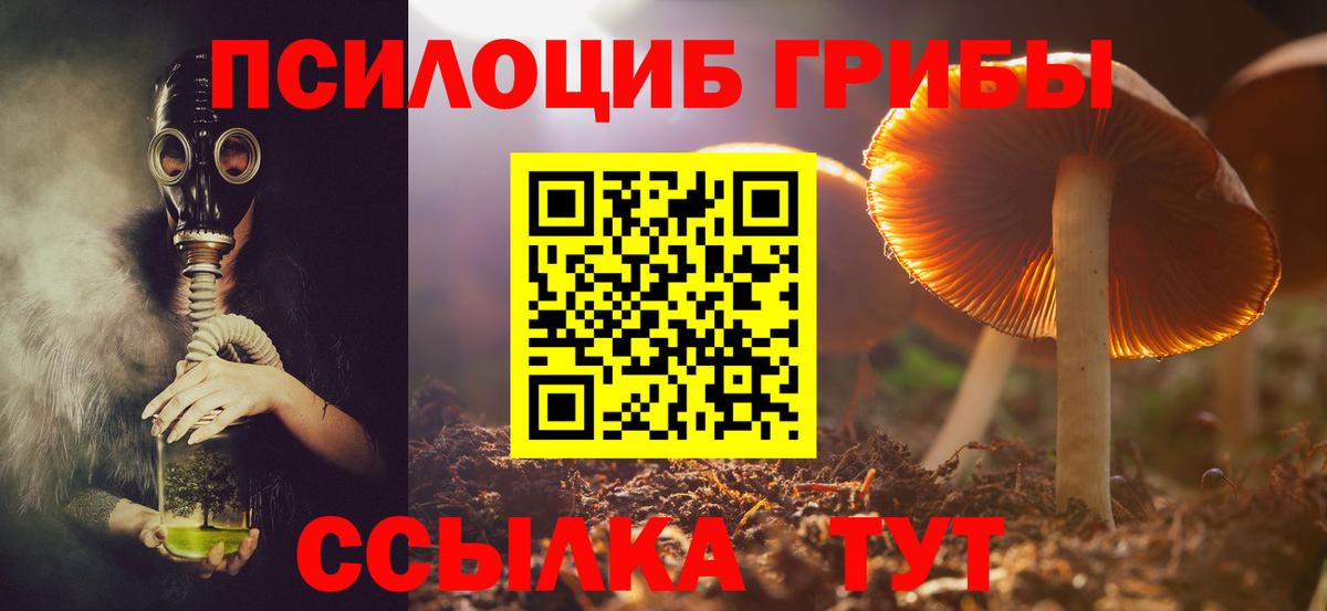 Людиново  Псилоцибиновые грибы GOLDEN TEACHER  Вход с VPN 